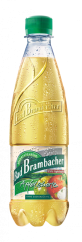APFELSCHORLE  0,5 L PET