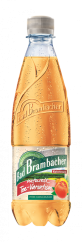 Čajové variace - Broskev  0,5 L PET
