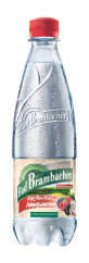 NATUREL LESNÍ PLODY  0,5 L PET