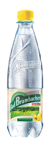 LEMON PLUS 0,5 L PET