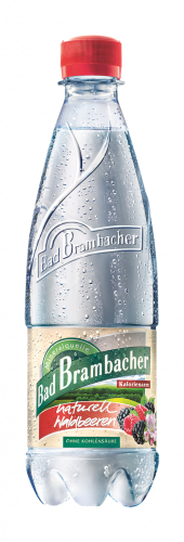 NATUREL LESNÍ PLODY  0,5 L PET